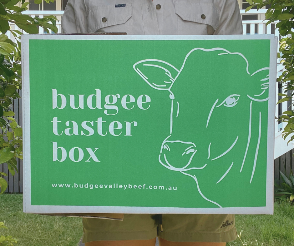 Budgee Taster Box Grass Fed Beef 10kg